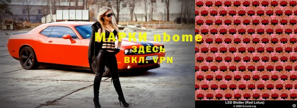ПСИЛОЦИБИНОВЫЕ ГРИБЫ Белоозёрский