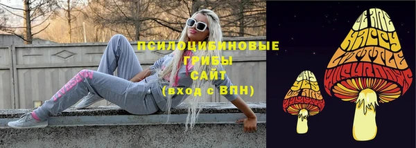 ешки Богородск