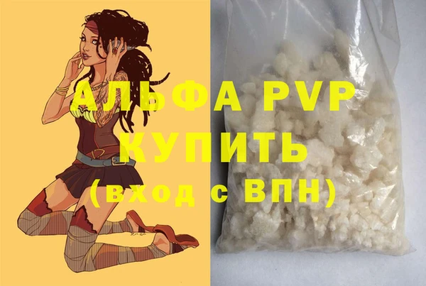 ПСИЛОЦИБИНОВЫЕ ГРИБЫ Белоозёрский